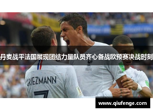 丹麦战平法国展现团结力量队员齐心备战欧预赛决战时刻