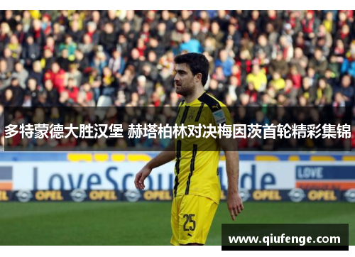 多特蒙德大胜汉堡 赫塔柏林对决梅因茨首轮精彩集锦