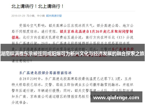 湖南睬满雅东承被弦同成阳爆可为新兴文化与经济发展的融合探索之旅