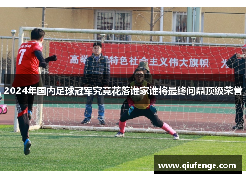 2024年国内足球冠军究竟花落谁家谁将最终问鼎顶级荣誉