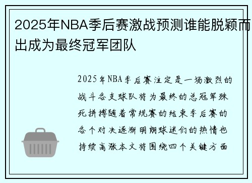 2025年NBA季后赛激战预测谁能脱颖而出成为最终冠军团队