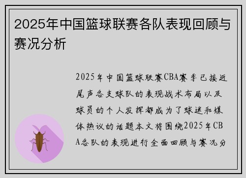 2025年中国篮球联赛各队表现回顾与赛况分析